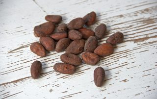Llavors de cacau utilitzades per obtenir teobromina, un additiu del tabac.